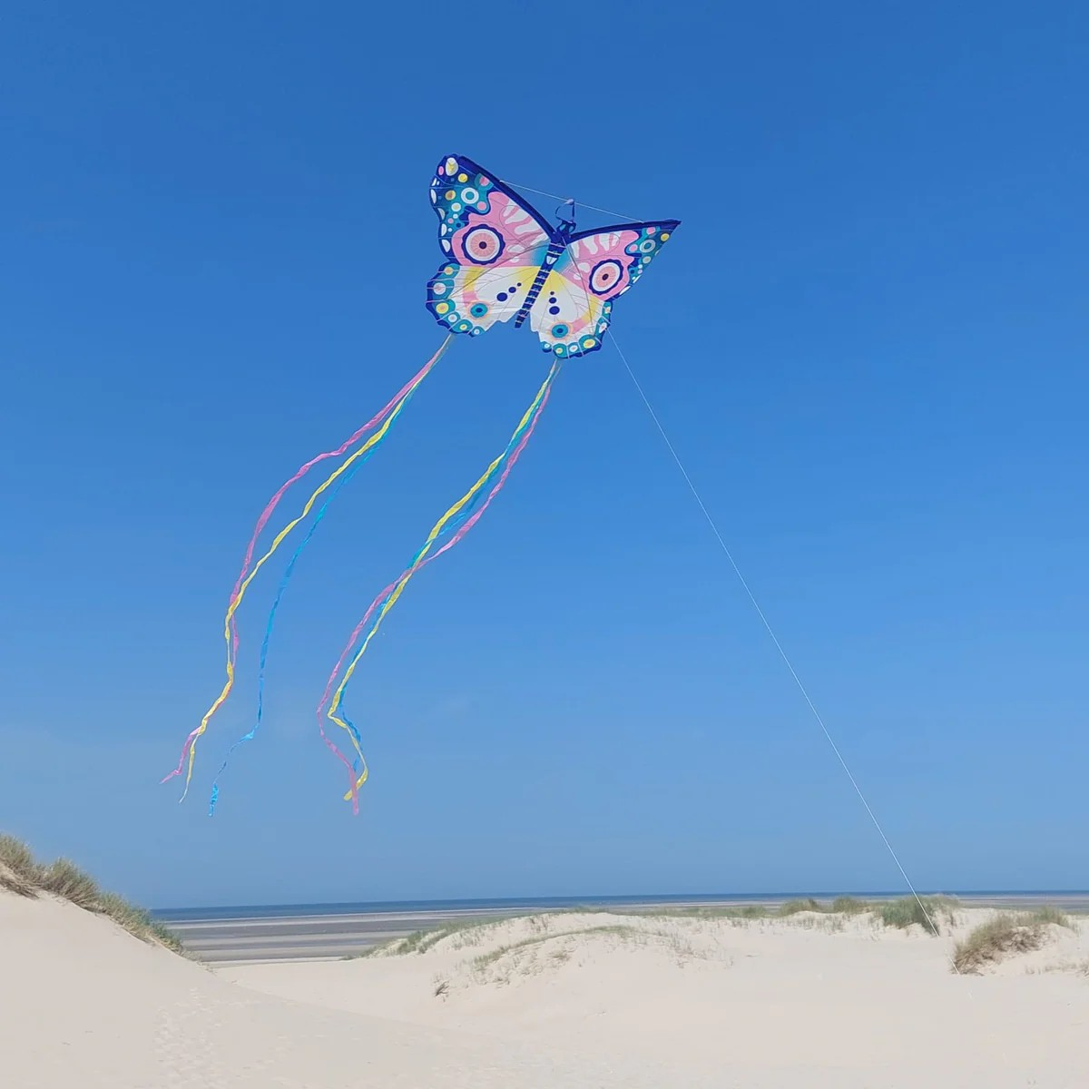 Djeco Colorful Butterfly Kite-felix & mina