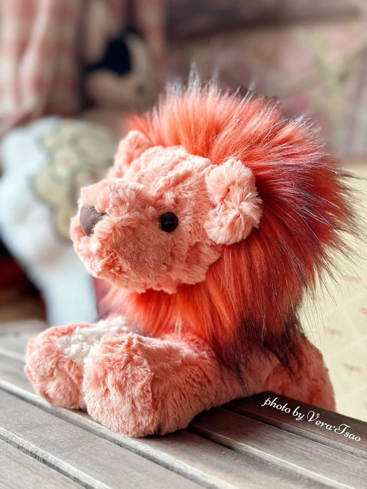 Gund - Cozys Lion-felix & mina