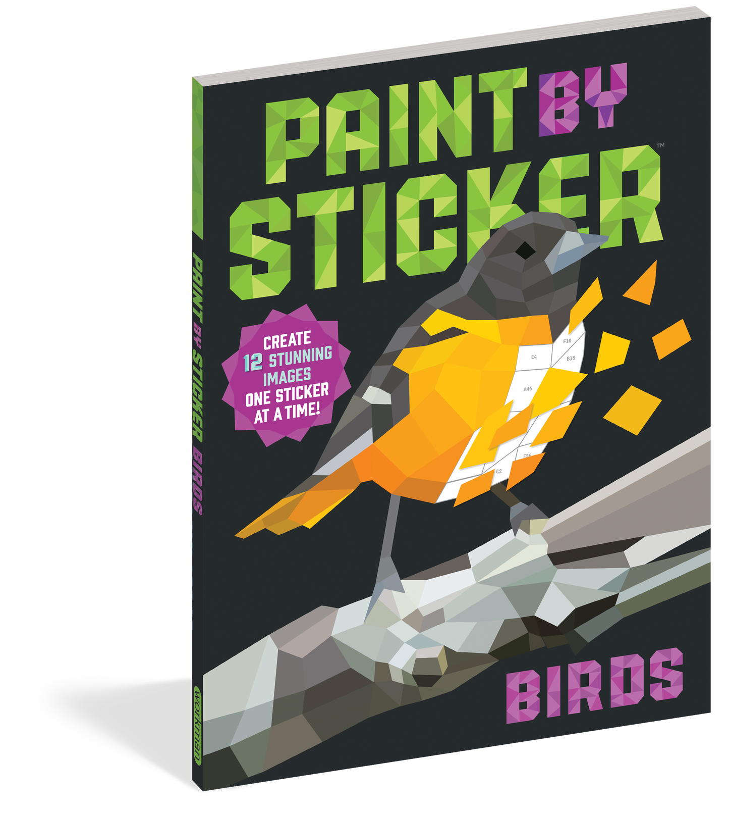 Workman Publishing - Paint by Sticker : Birds-felix & mina